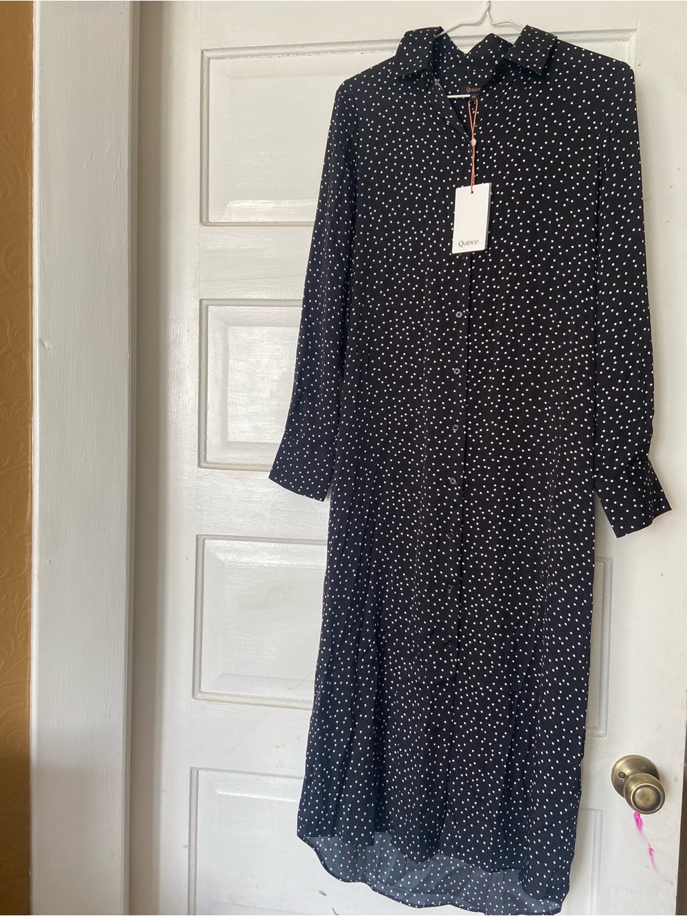 Quince Black Polka Dot Mulberry Silk Shirt Dress XS NWT
